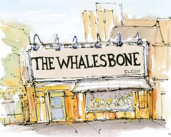 Whalesbone